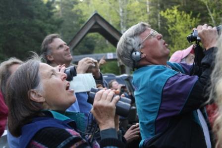 Wings, Waves & Woods Birding Festival