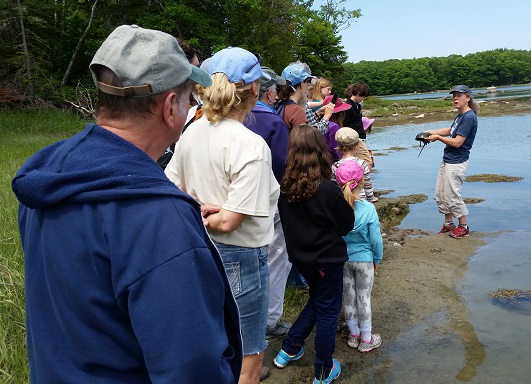 Horseshoe Crab Walk & Talk with Sarah O'Malley