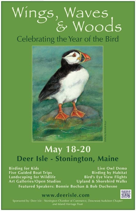 11th Annual Deer Isle Birding Festival