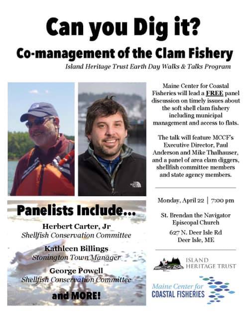 Can you dig it? Co-management of the clam fishery