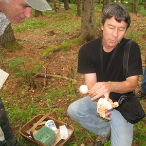 Identifying Maine's Edible and Medicinal Mushrooms