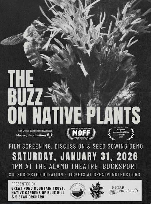 "The Buzz on Native Plants" film & Seed Sowing Demo