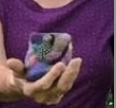 Felted Soap Scrubbies for Valentine's Day!