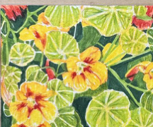 Drawing Maine: Still Life in Colored Pencil