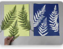 Cyanotype Printing on Fabric & Paper