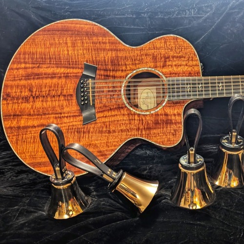 Rings and Strings in Concert at Eagle Hill Institute