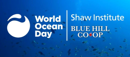 World Oceans Day: Celebrating Research to Understand Ecosystem-Human Connection